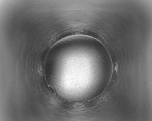 X0000061110867200511210931