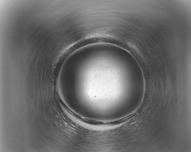 X0000061110872200511210931