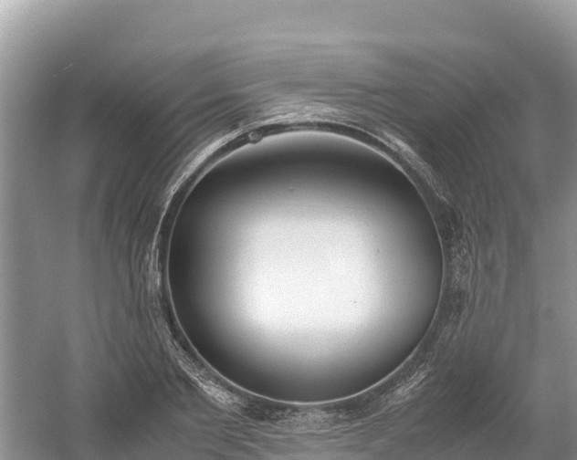 X0000061110885200511210931