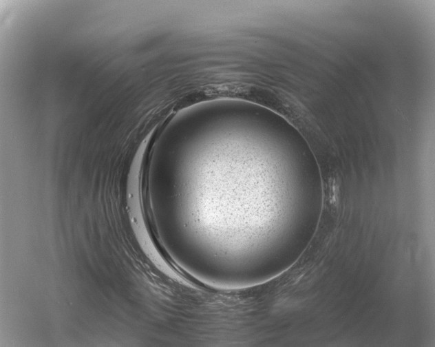 X0000061110915200511210930