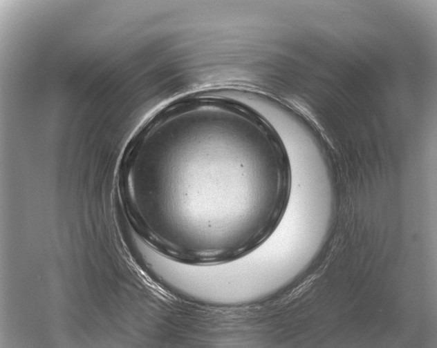 X0000061110924200511210930