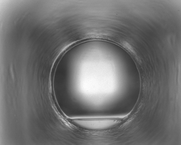X0000061110940200511210930