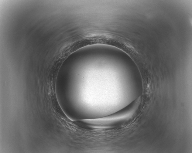 X0000061110965200511210930