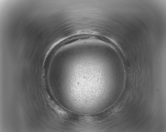 X0000061110971200511210929