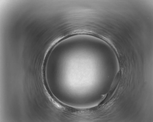 X0000061110995200511210929