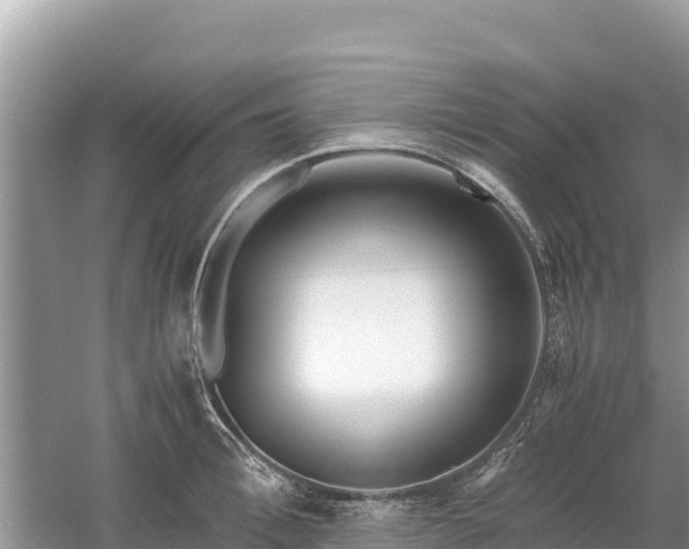X0000061110996200511210929