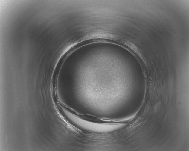 X0000061111024200511210928