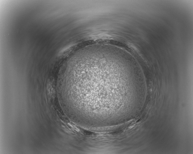 X0000061111063200511210928