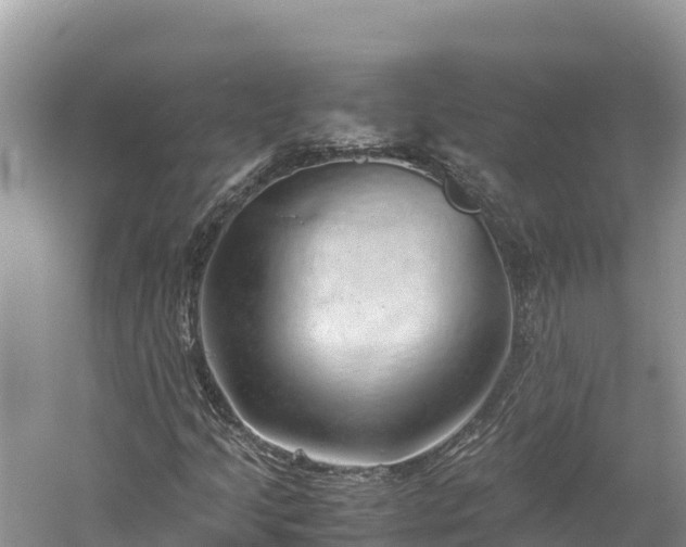 X0000061111205200511210925