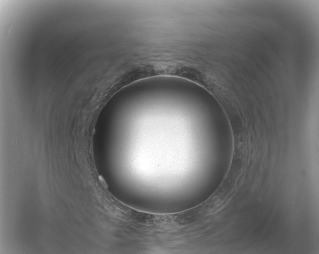 X0000061111249200511210925