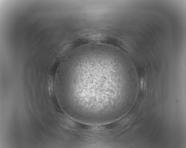 X0000061111251200511210925