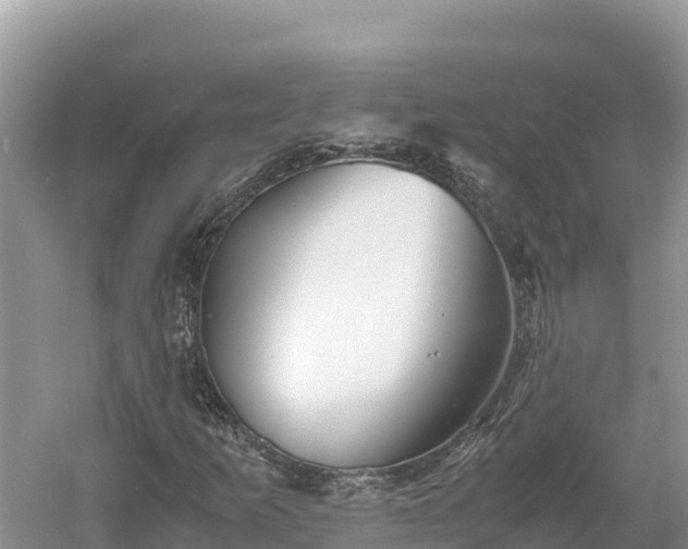 X0000061111253200511210925