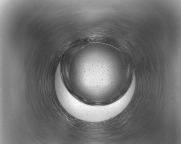 X0000061111298200511210923