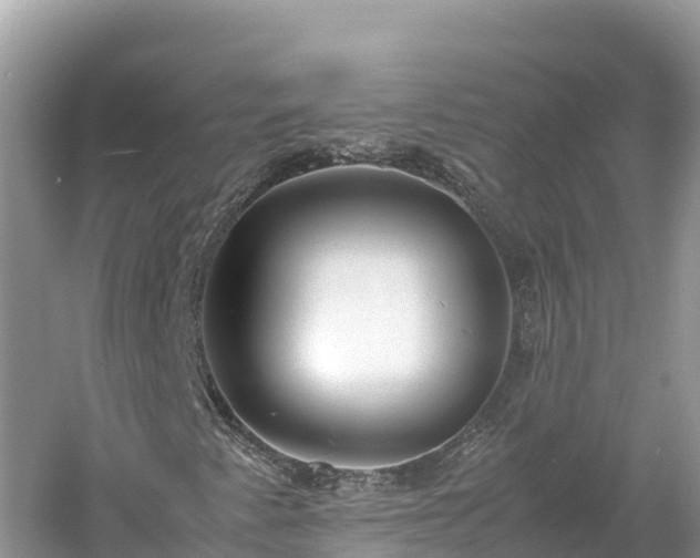 X0000061111345200511210923
