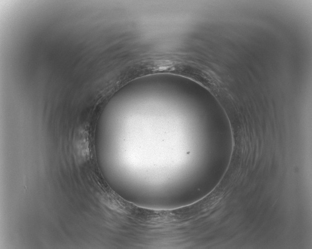 X0000061111442200511210921
