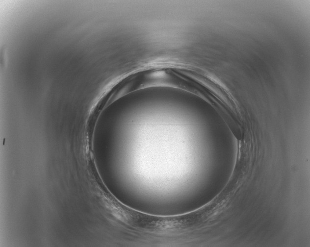 X0000061111461200511210921