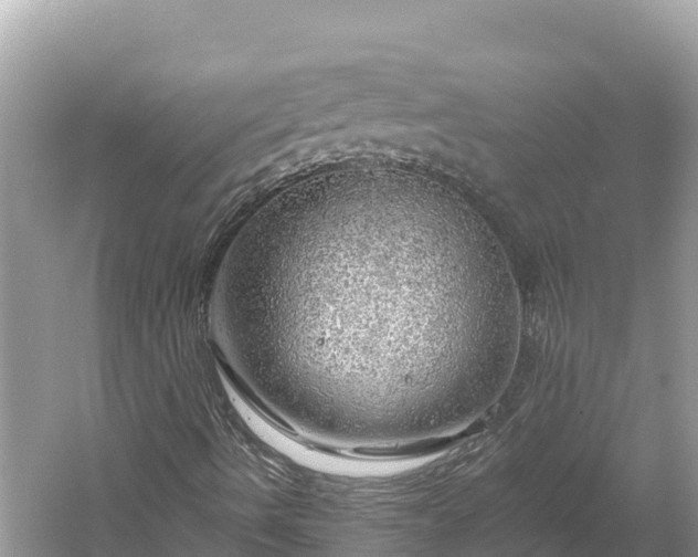 X0000061111490200511210919