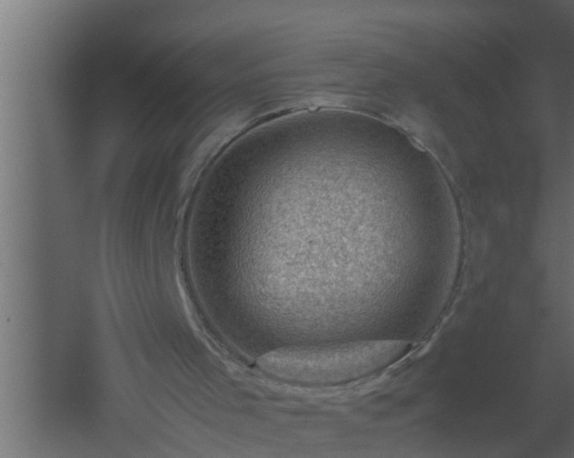 X0000061110001200511241655