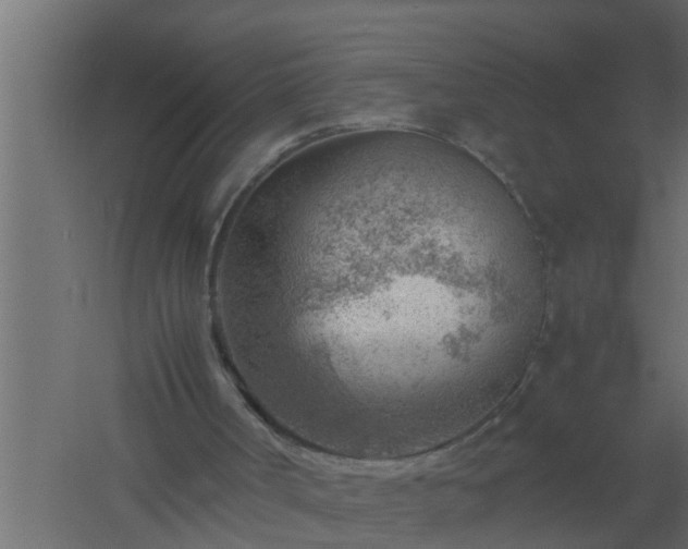 X0000061110002200511241655