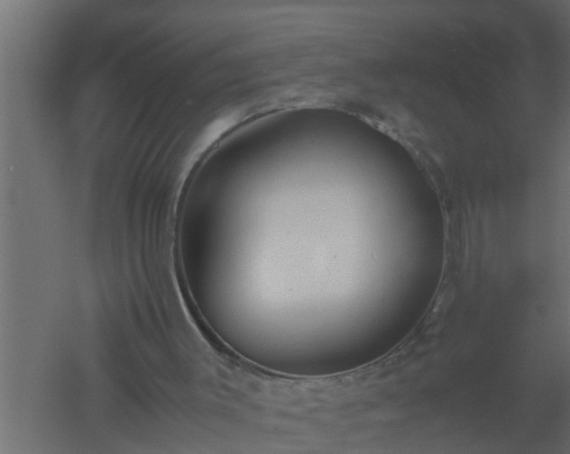 X0000061110003200511241655