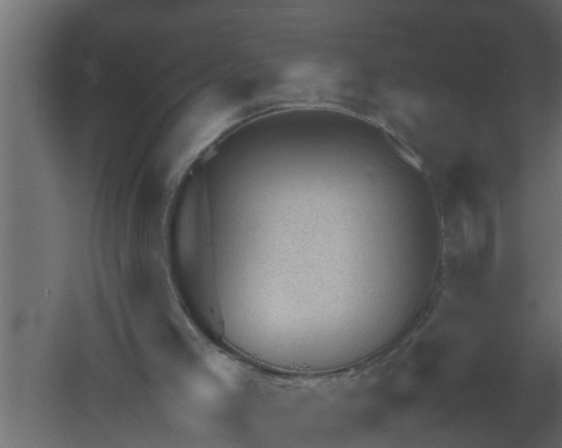 X0000061110005200511241655