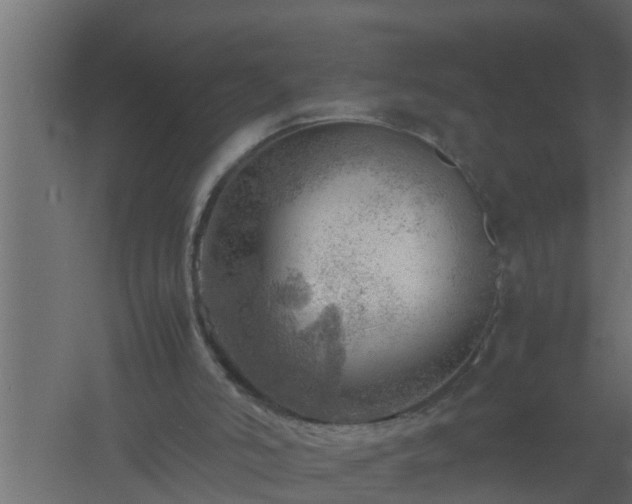 X0000061110006200511241655