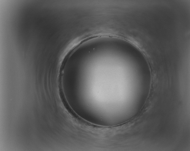 X0000061110007200511241655