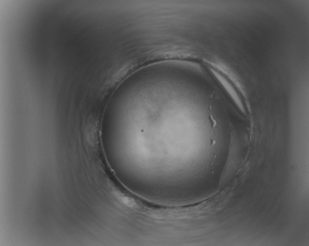 X0000061110009200511241655