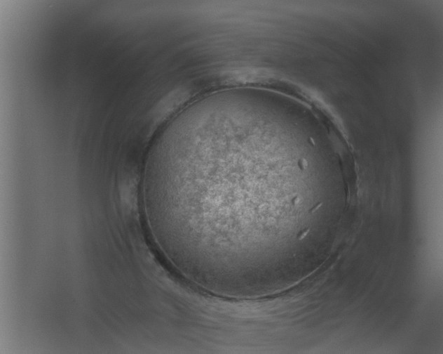 X0000061110010200511241655