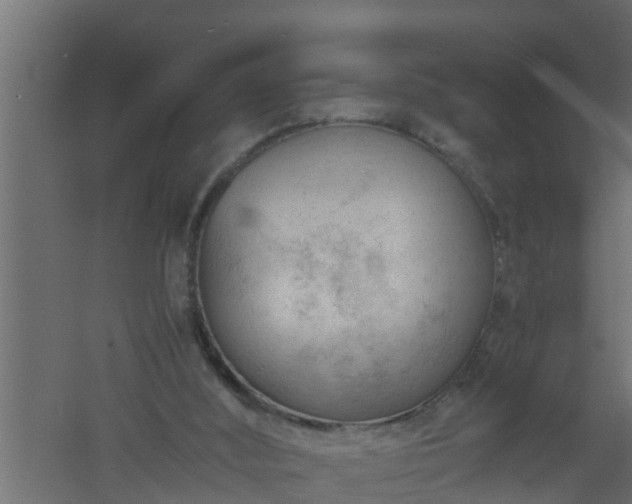 X0000061110012200511241655