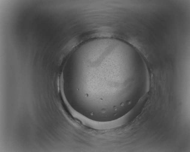 X0000061110013200511241655