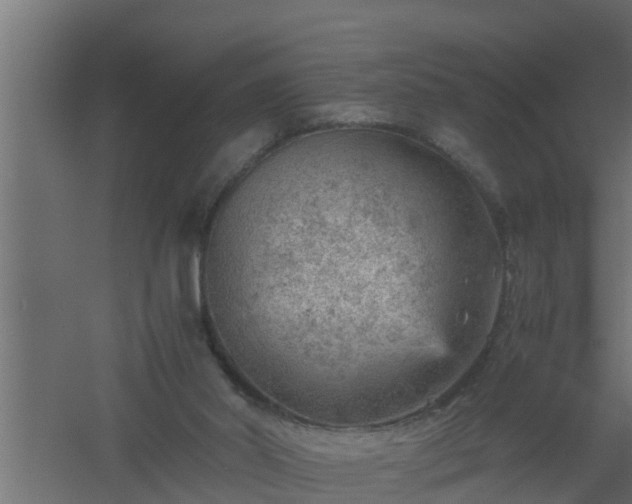 X0000061110014200511241655