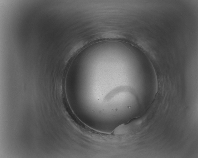 X0000061110015200511241655