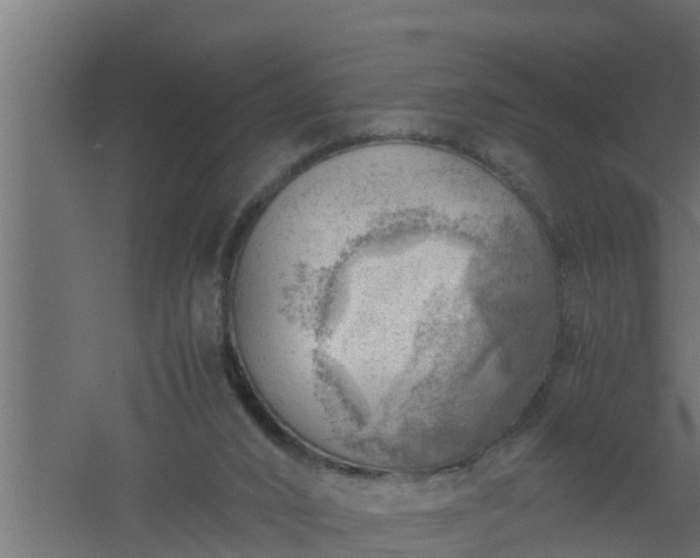 X0000061110016200511241655