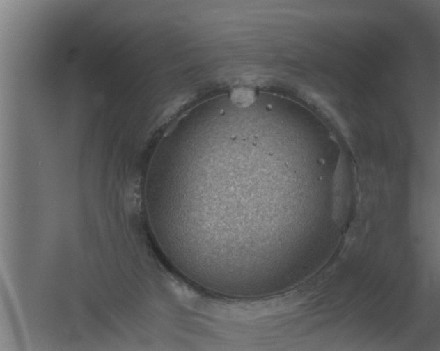 X0000061110017200511241655