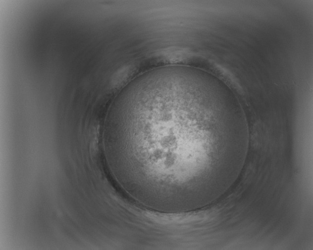 X0000061110018200511241655