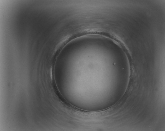 X0000061110019200511241655