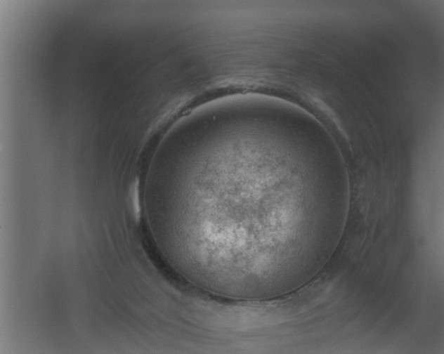 X0000061110020200511241655