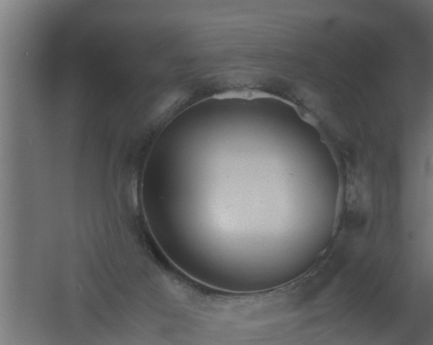 X0000061110021200511241655