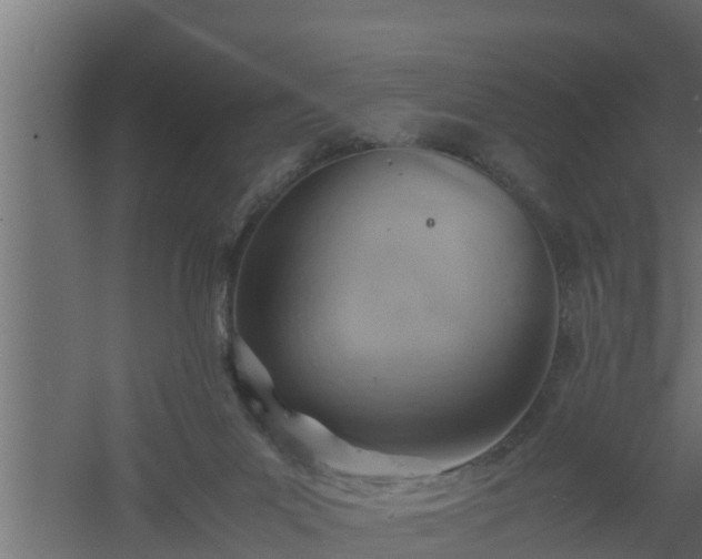 X0000061110023200511241655