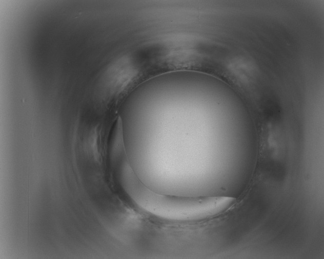 X0000061110025200511241655