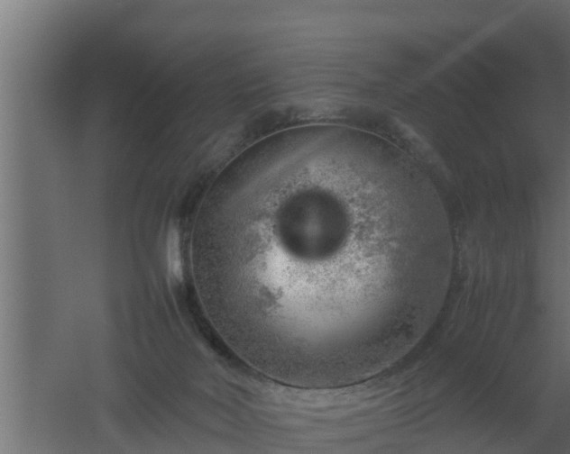 X0000061110026200511241655