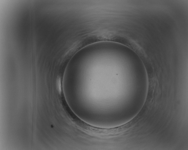 X0000061110027200511241655