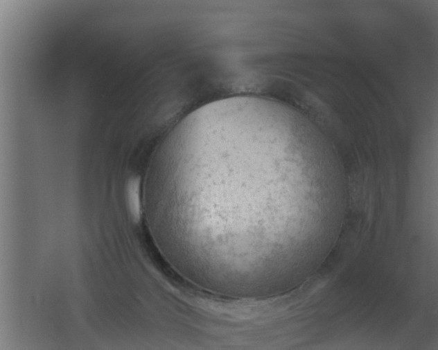 X0000061110028200511241655