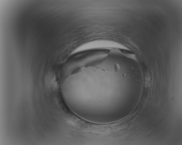 X0000061110029200511241655