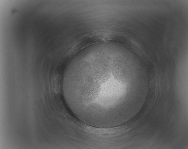 X0000061110030200511241655