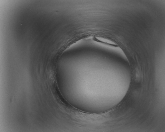 X0000061110031200511241655