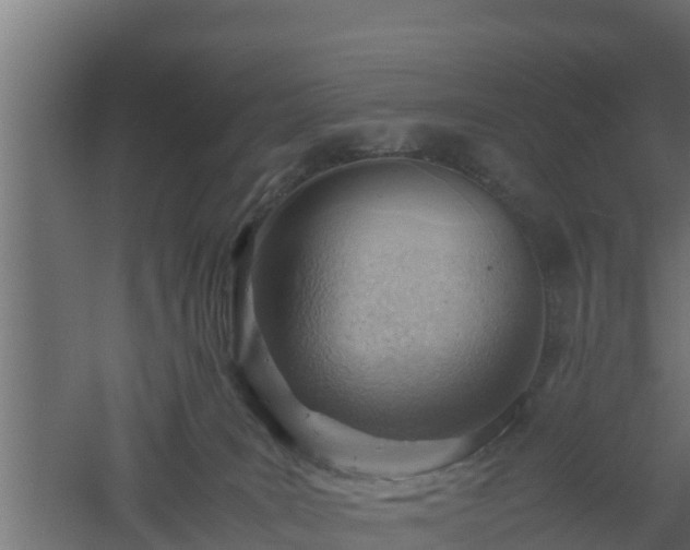 X0000061110035200511241655