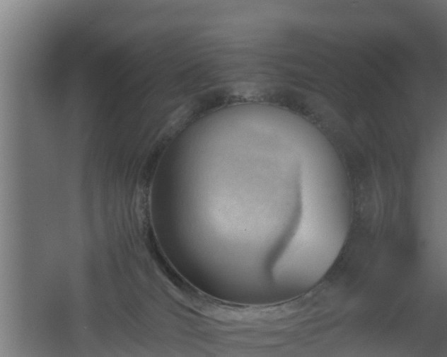 X0000061110036200511241655