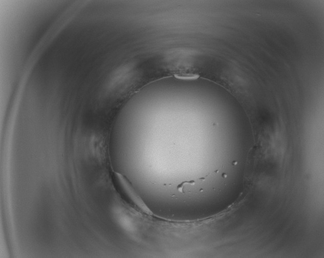 X0000061110037200511241655